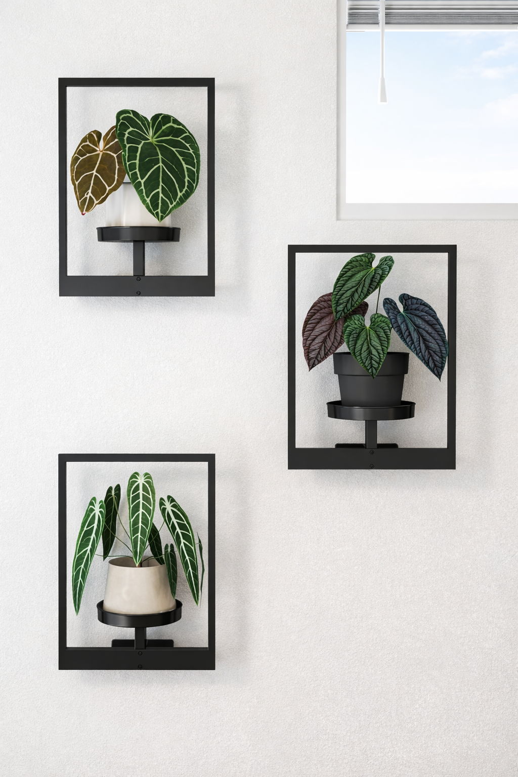 AuraFrame – Väggdekoration som får ditt favoritföremål att ta plats. 🌿